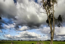 快乐分享：荨麻疹天涯论坛中的病友聚会（标题，10字以内）